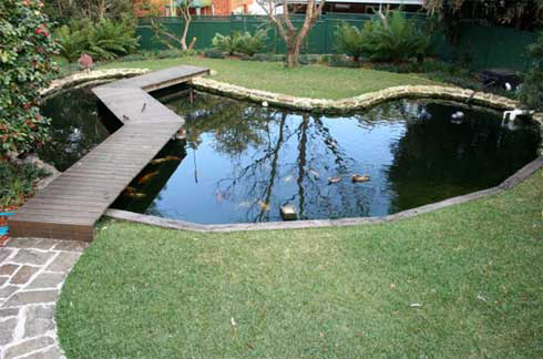 Coy pond